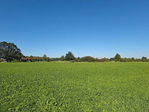 Wohnung zum Kauf - Erstbezug provisionsfrei 647.000 € 3 Zimmer 92 m² frei ab 01.10.2026 Grassau 83224