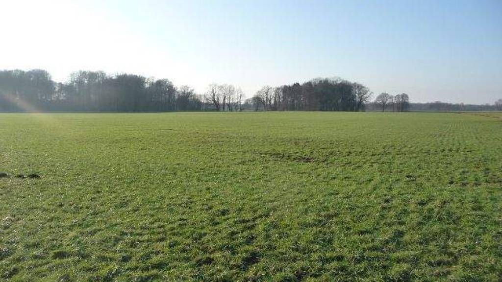 Land-/Forstwirtschaft zum Kauf 77.995 m² Grundstück Heeke Alfhausen 49594