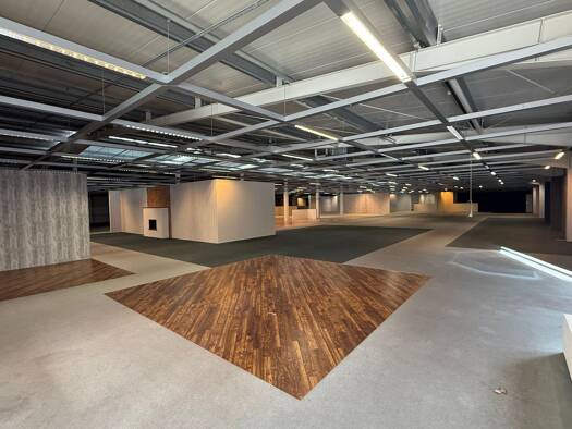 Büro zur Miete provisionsfrei 3.000 € 1 Zimmer 2.000 m² Bürofläche Wildeshausen 27793