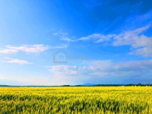 Land-/Forstwirtschaft zum Kauf 338.256 € 28.188 m² Grundstück Zurndorf 2424