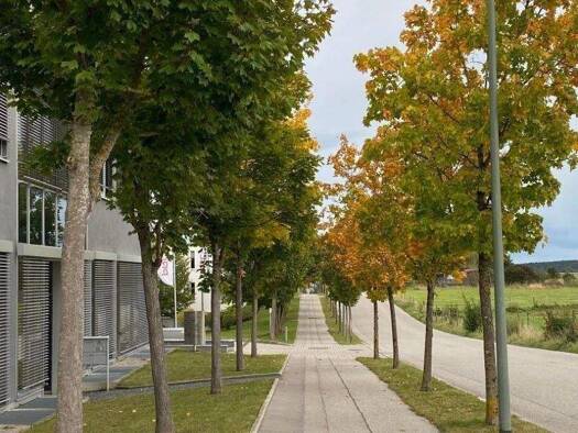 Werkstatt zur Miete 11,90 € 500 m² Lagerfläche Oberpfaffenhofen Weßling 82234