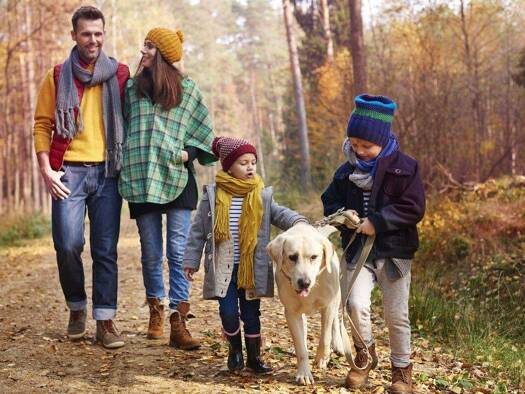 Einfamilienhaus zum Kauf provisionsfrei 1.800.000 € 6 Zimmer 180 m² 850 m² Grundstück Icking 82057