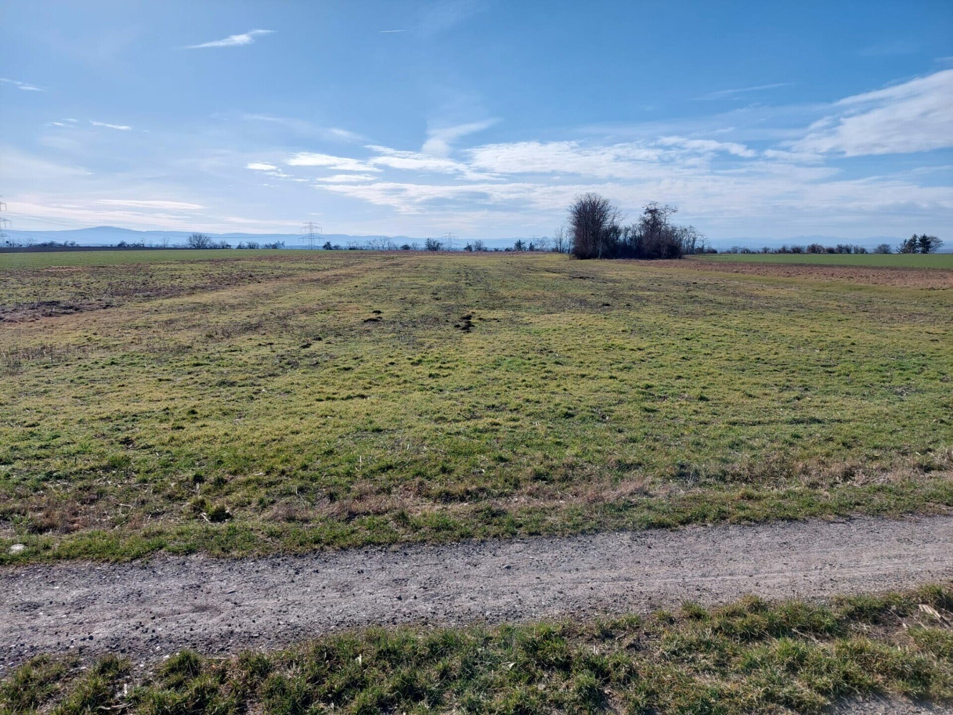 Land-/Forstwirtschaft zum Kauf 68.232 € 5.686 m²<br/>Grundstück Seitzersdorf-Wolfpassing 3464