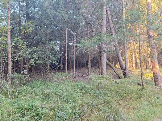 Land-/Forstwirtschaft zum Kauf 53.000 € 13.100 m² Grundstück Söchtenau 83139