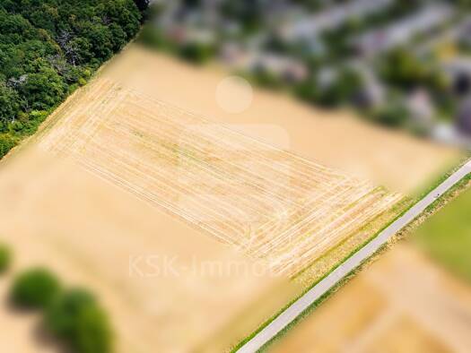 Land-/Forstwirtschaft zum Kauf 69.900 € 6.951 m² Grundstück Miel Swisttal 53913