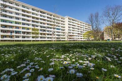Wohnung zur Miete 304 € 1 Zimmer 38 m² EG Albert-Förster-Straße 3 Sandow Cottbus 03042