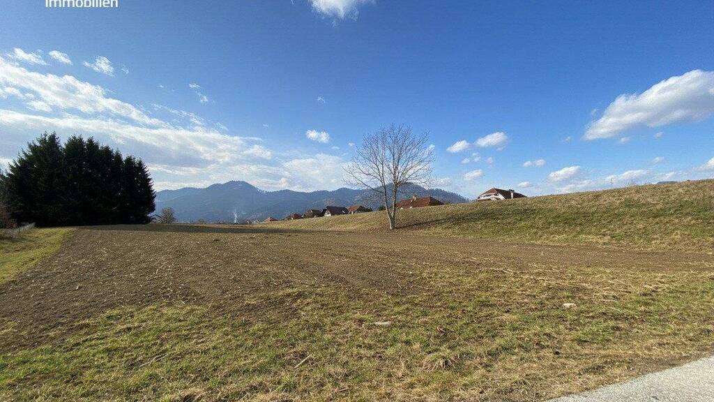 Grundstück zum Kauf 313.000 € 3.301 m² Grundstück Krieglach 8670