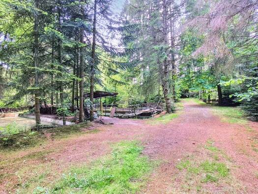 Grundstück zum Kauf 130.000 € 2.959 m² Grundstück Issendorf Harsefeld / Issendorf 21698