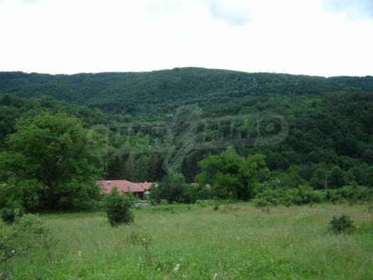 Land-/Forstwirtschaft zum Kauf 80.000 € Gabrovo