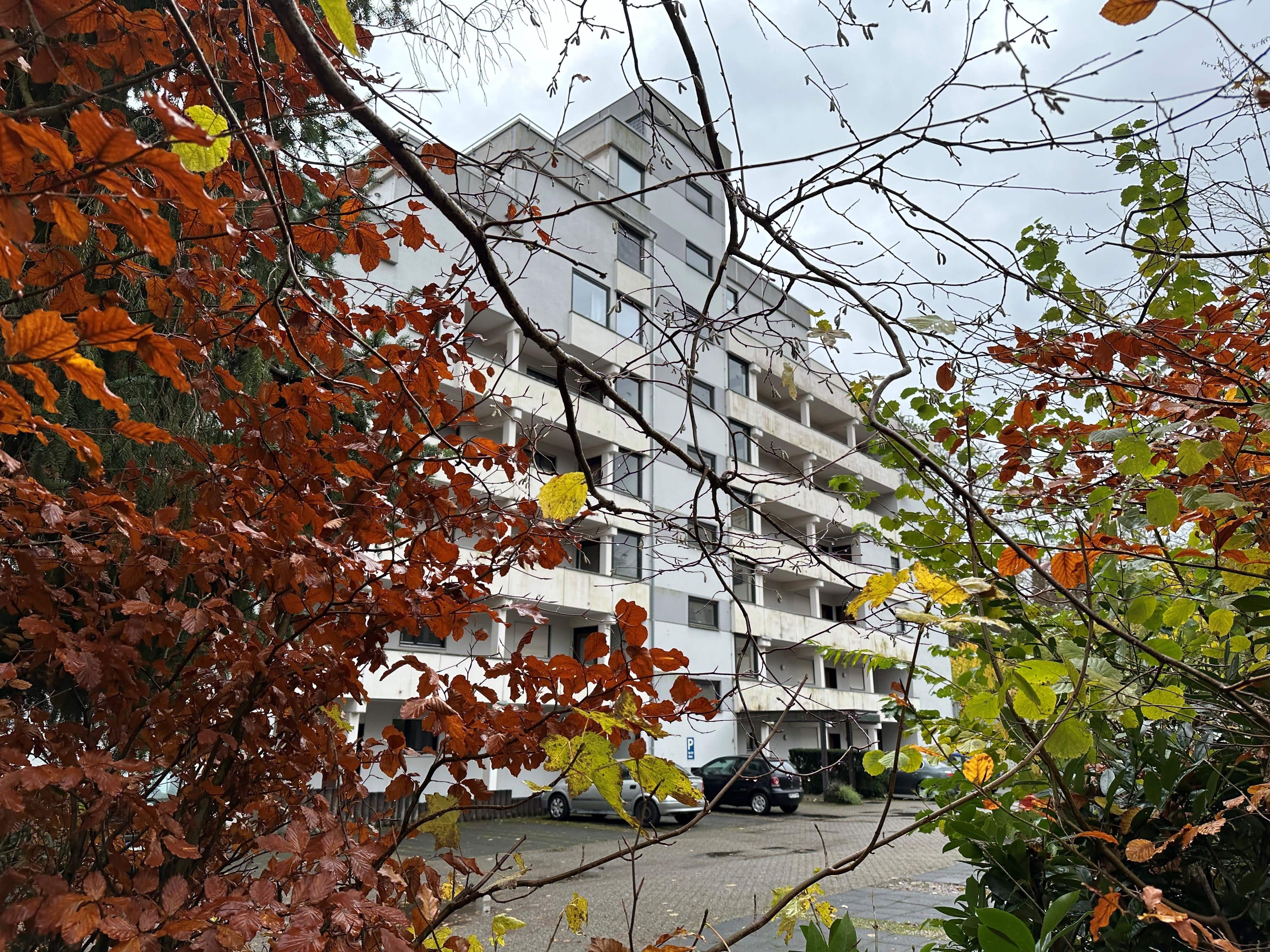 Wohnung zum Kauf 75.000 € 2 Zimmer 49 m²<br/>Wohnfläche Ehlscheid 56581