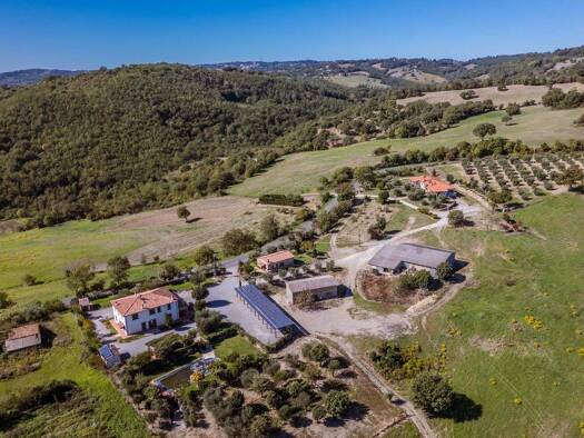 Haus zum Kauf 2.300.000 € 13 Zimmer 1.220 m² 500.000 m² Grundstück frei ab sofort Scansano