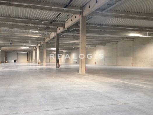 Halle/Industriefläche zur Miete provisionsfrei 6.859 m² Lagerfläche Paderborn 33106