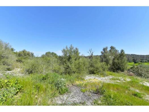 Acker-/Waldstück zum Kauf 19.000 € Sant Joan 07240