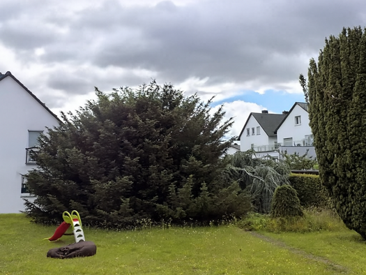 Grundstück zum Kauf provisionsfrei 165.000 € 350 m² Grundstück Großen-Linden Linden 35440