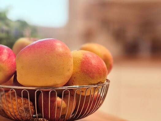 Reihenhaus zur Miete 1.500 € 3,5 Zimmer 81 m² frei ab 01.01.2026 Zeilsheim Frankfurt am Main 65931