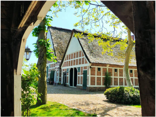 Bauernhaus zum Kauf 650.000 € 6 Zimmer 360 m² 6.016 m² Grundstück Stade-Bützfleth 21683