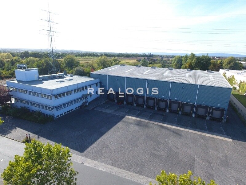 Halle/Industriefläche zur Miete provisionsfrei 23.400 € 2.800 m²<br/>Lagerfläche Bischofsheim 65474