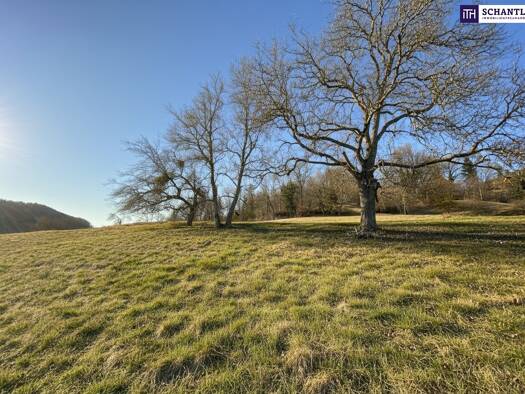 Grundstück zum Kauf 68.000 € 500 m² Grundstück Lindenweg Prenning 8121