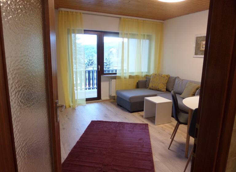 Wohnung zur Miete 540 € 2,5 Zimmer 55 m²<br/>Wohnfläche 1.<br/>Geschoss Stadtgebiet Triberg im Schwarzwald 78098