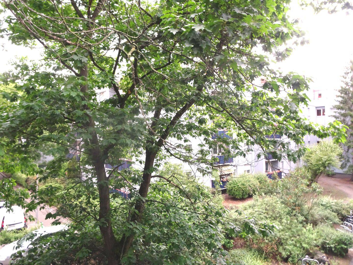 Property thumbnail 6