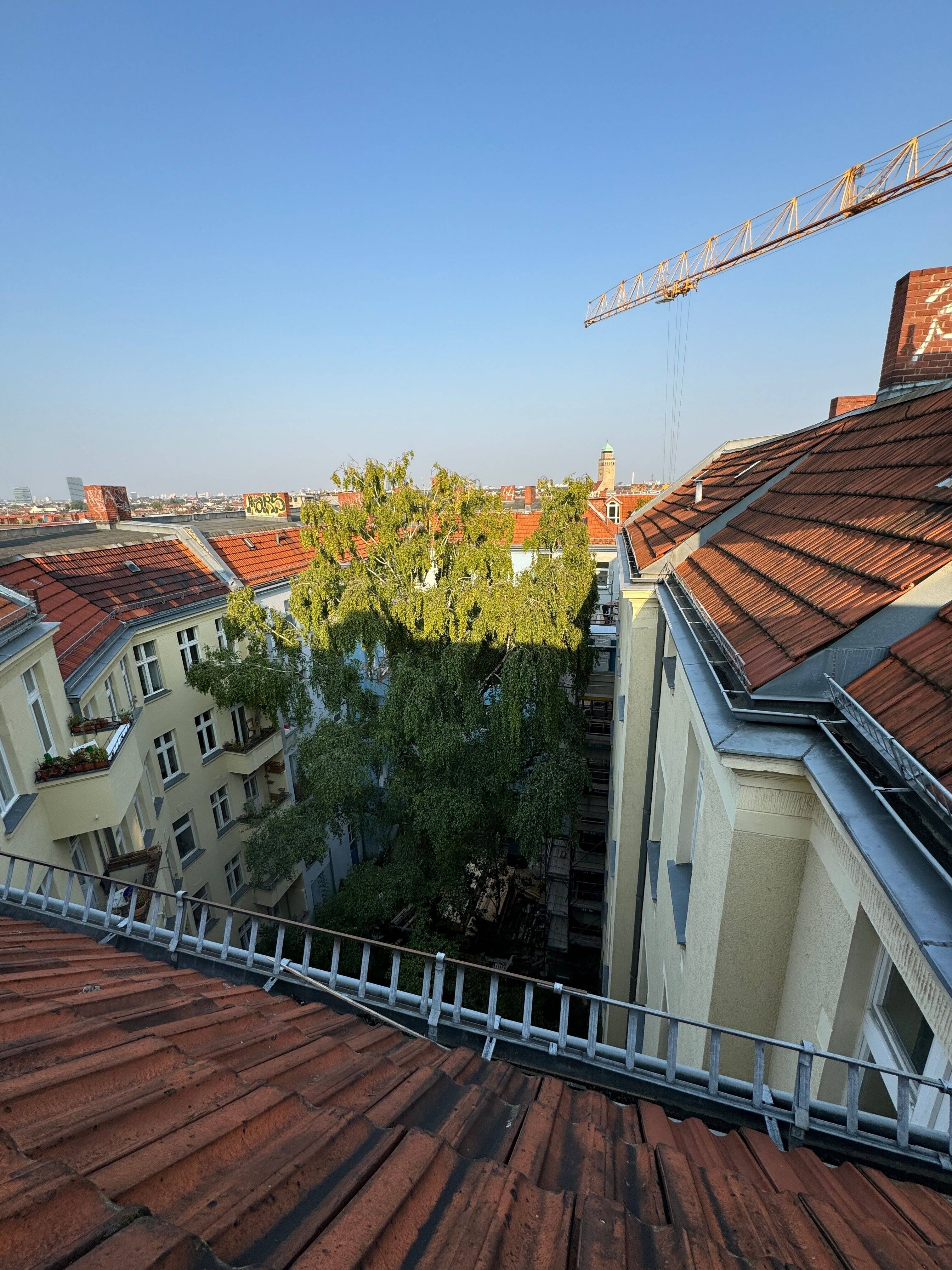 Property thumbnail 10