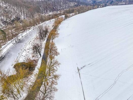 Landwirtschaftliche Fläche zur Versteigerung 5.000 € 9.368 m² Grundstück Meinsberg Waldheim 04736
