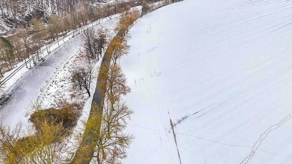Landwirtschaftliche Fläche zur Versteigerung 5.000 € 9.368 m² Grundstück Meinsberg Waldheim 04736