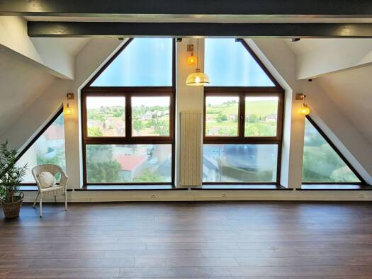 Loft zur Miete 660 € 1 Zimmer 60 m² Geschoss 1/2 frei ab 01.08.2026 Reinheim Gersheim 66453