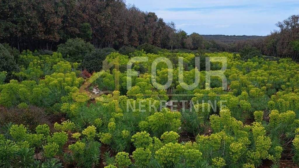 Land-/Forstwirtschaft zum Kauf 90.000 € Punta Kriza, Mali Losinj Mali Losinj
