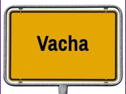 Wohnung zur Miete 375 € 2 Zimmer 67 m² EG frei ab sofort Vacha Vacha 36404