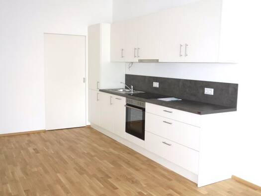 Wohnung zur Miete 810 € 2 Zimmer 57,5 m² Baden 2500