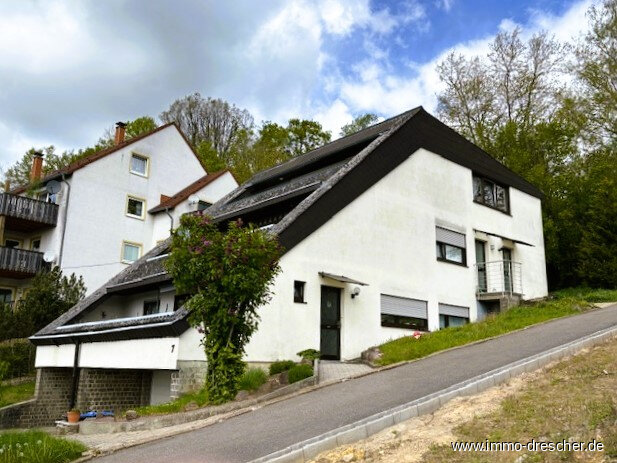 Mehrfamilienhaus zum Kauf 325.000 € 9 Zimmer 245 m²<br/>Wohnfläche 550 m²<br/>Grundstück Friedrichsthal Friedrichsthal 66299