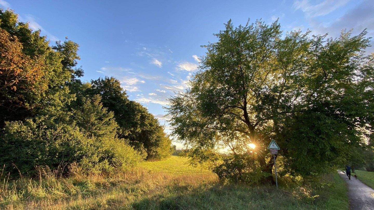 Property thumbnail 18