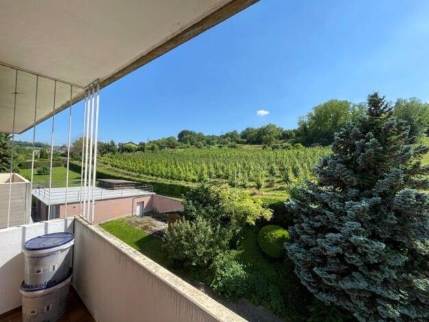 Wohnung zum Kauf 129.000 € 1 Zimmer 38 m² Schliengen Schliengen 79418