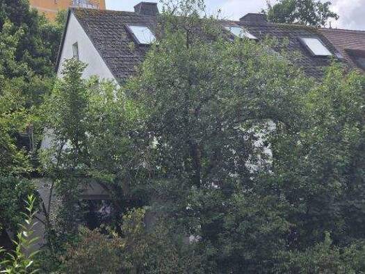 Mehrfamilienhaus zum Kauf 999.999 € 14 Zimmer 292 m² 930 m² Grundstück Frauenland Würzburg 97074