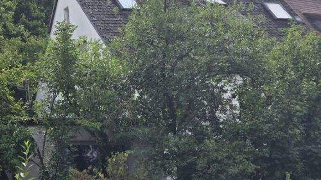 Mehrfamilienhaus zum Kauf 999.999 € 14 Zimmer 292 m² 930 m² Grundstück Frauenland Würzburg 97074