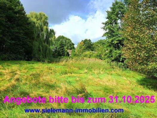 Freizeitgrundstück zur Versteigerung 10.000 € 5.265 m² Grundstück Hackemühlen Lamstedt 21769