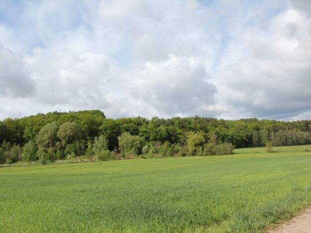 Grundstück zum Kauf 295.000 € 492 m² Grundstück Mühlwiesenweg 7 Rasch Altdorf bei Nürnberg 90518