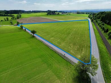 Land-/Forstwirtschaft zum Kauf 100.000 € 32.857 m² Grundstück Wolfegg Wolfegg 88364