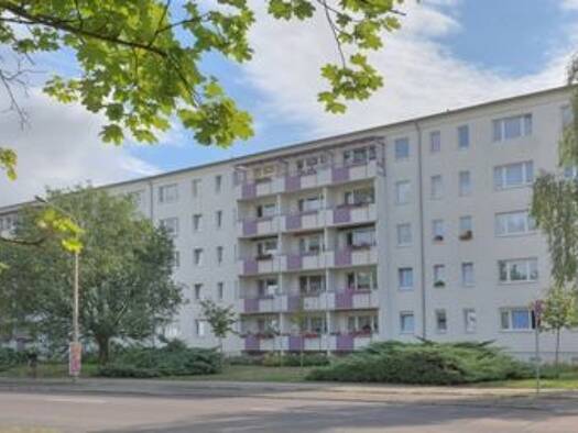 Wohnung zur Miete 325 € 2 Zimmer 46,7 m² 3. Geschoss Seebener Straße 114 Trotha Halle (Saale) 06118