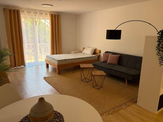 Wohnung zur Miete 550 € 1 Zimmer 39 m² Geschoss 1/2 frei ab sofort Mühltorstraße 2 Lauffen am Neckar 74348