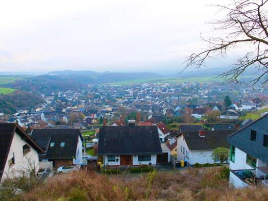 Grundstück zum Kauf 101.000 € 796 m² Grundstück Niederzissen Niederzissen 56651