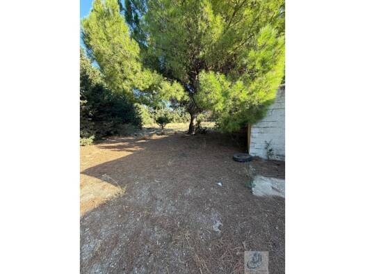 Acker-/Waldstück zum Kauf 130.000 € VENTA BLAS 1 Chiclana de la Frontera 11130