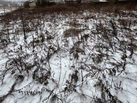 Grundstück zum Kauf provisionsfrei 245.000 € 700 m² Grundstück Glienicke/ Nordbahn 16548