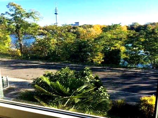 Wohnung zur Miete 1.000 € 3 Zimmer 90,2 m² Geschoss 1/2 frei ab sofort Wollstraße 135 Mundenheim Ludwigshafen am Rhein 67065