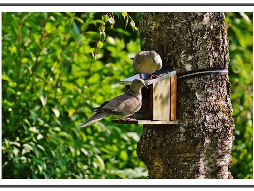 Wohnung zum Kauf 349.000 € 3 Zimmer 73,6 m² 1. Geschoss frei ab sofort Siemensstr. 63 Lankwitz Berlin 12247