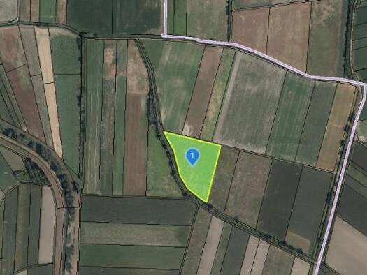 Land-/Forstwirtschaft zum Kauf 75.000 € 14.050 m² Grundstück Eggendorf am Wagram 3463