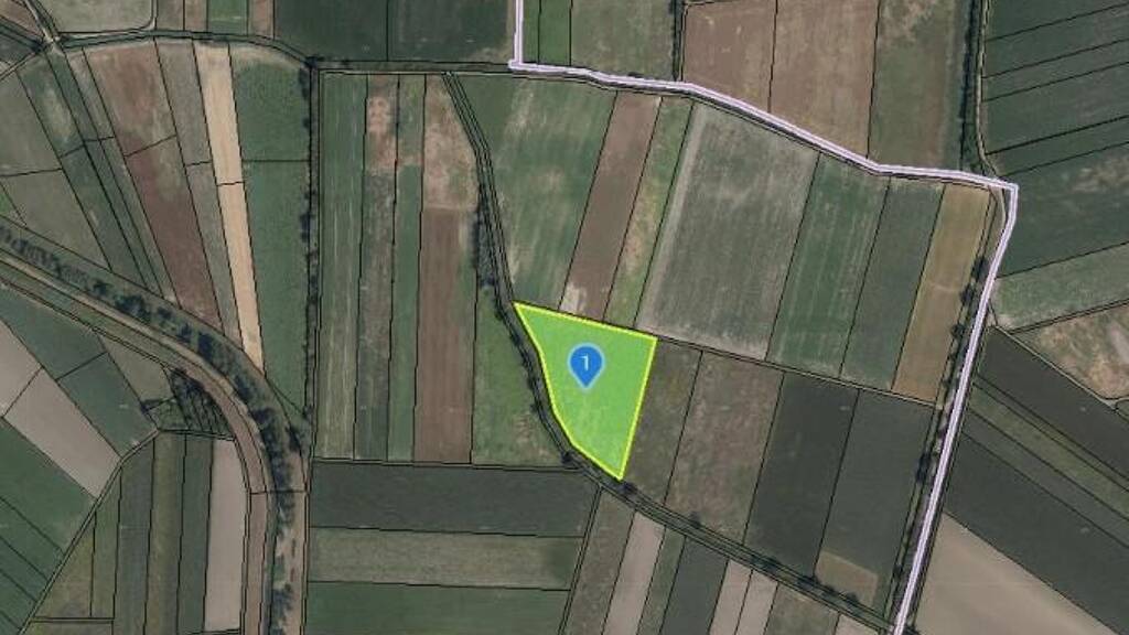 Land-/Forstwirtschaft zum Kauf 75.000 € 14.050 m² Grundstück Eggendorf am Wagram 3463