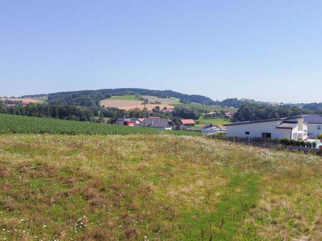 Grundstück zum Kauf 178.000 € 889 m² Grundstück Grieskirchen 4710