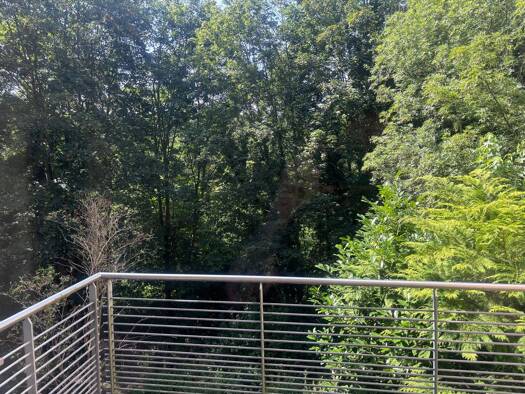 Wohnung zur Miete 790 € 2 Zimmer 59 m² frei ab 01.02.2026 Mögeldorf Nürnberg 90482